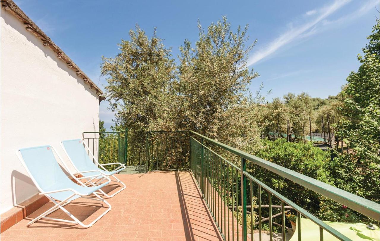 Ferienhaus Dellolivo *